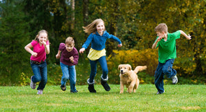 Winter School Holidays 2020