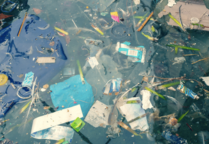 What are single use plastics?