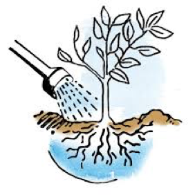 Tracking your water usage and conserving it.