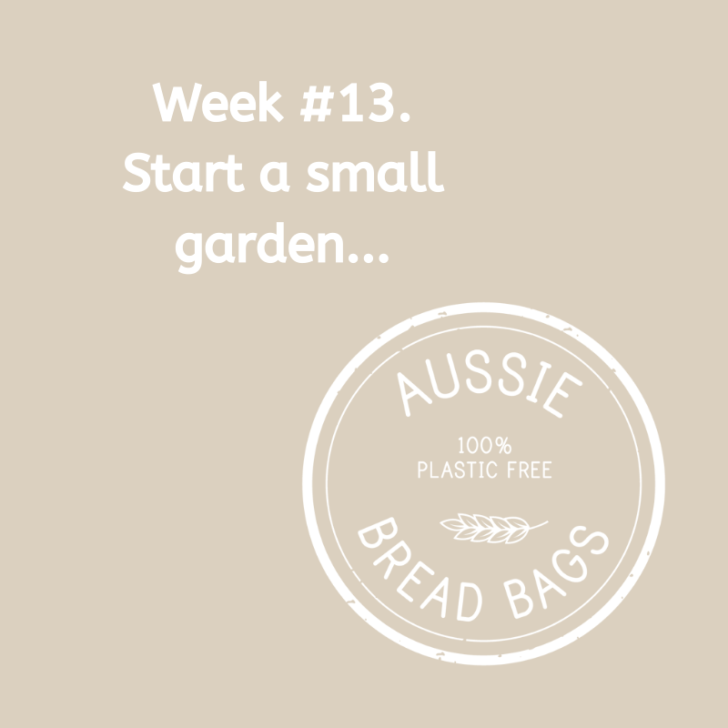 Week #13. Add a small veggie garden.