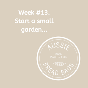 Week #13. Add a small veggie garden.
